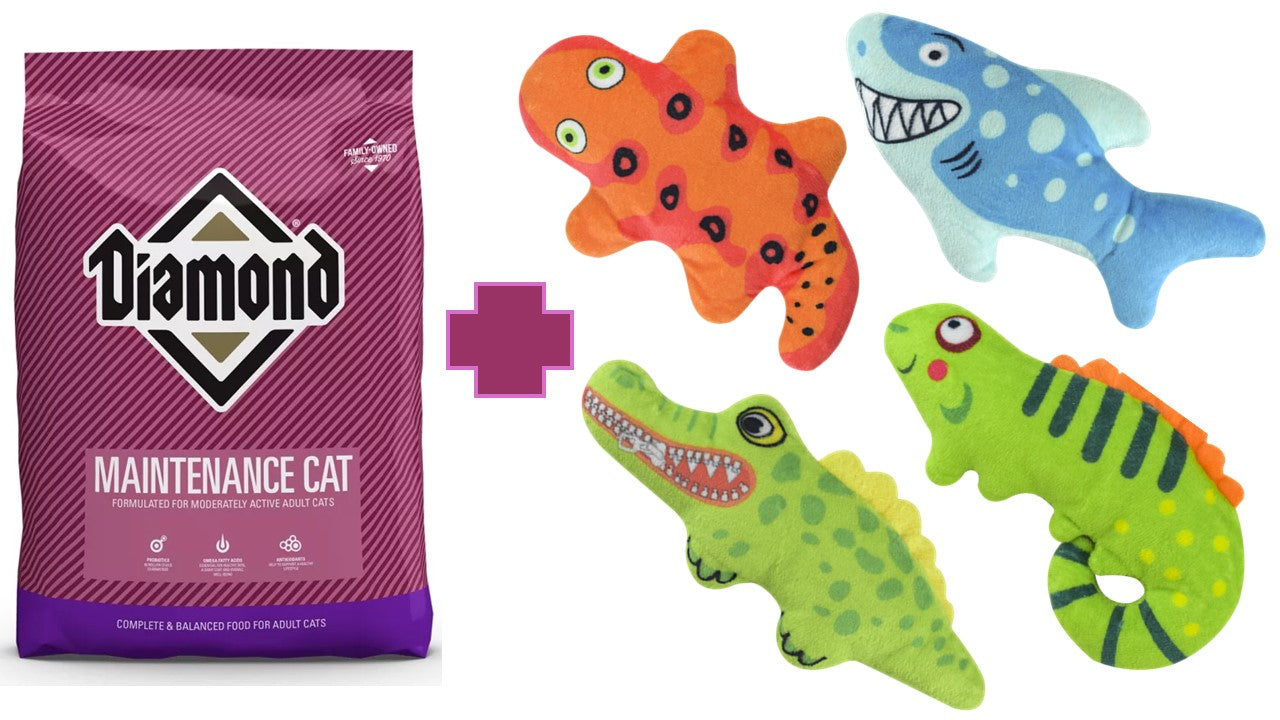 Alimento seco felino Diamond maintenance gato 18.14 kg