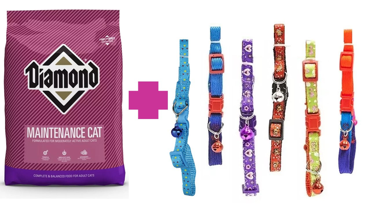 Alimento seco felino Diamond maintenance gato 18.14 kg
