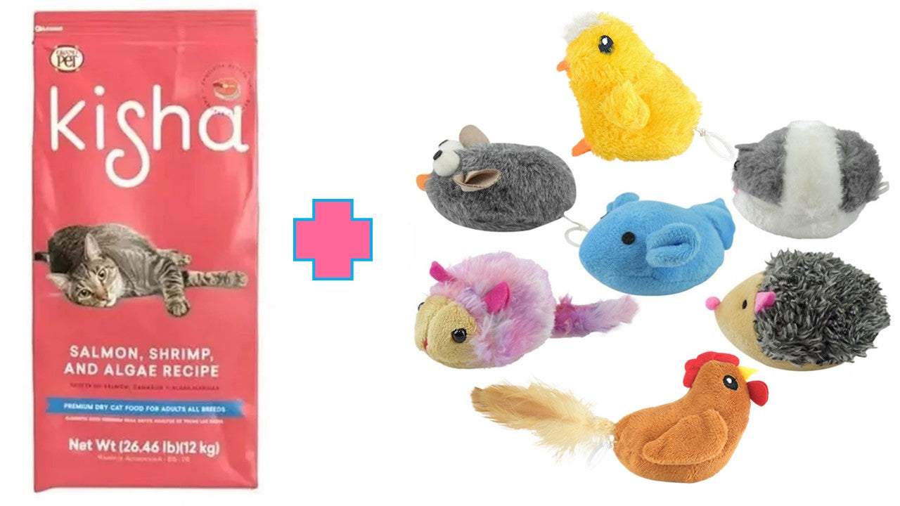 Alimento felino seco Kisha 12 kg gato
