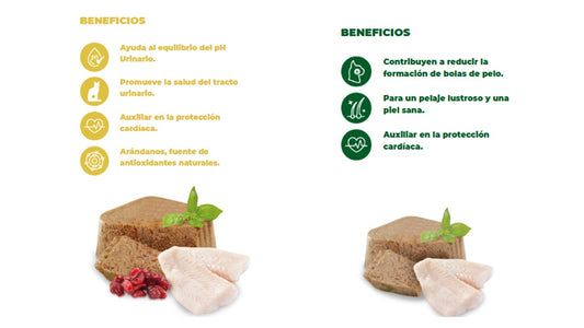 Alimento húmedo paquete de 20 latas nupec felino urinary y hairball para gato 100 gr