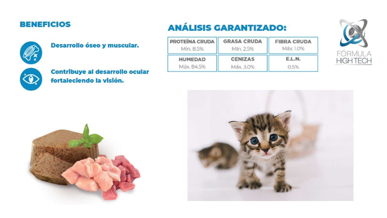 Alimento húmedo 20 latas nupec felino kitten para gatitos 100 gr