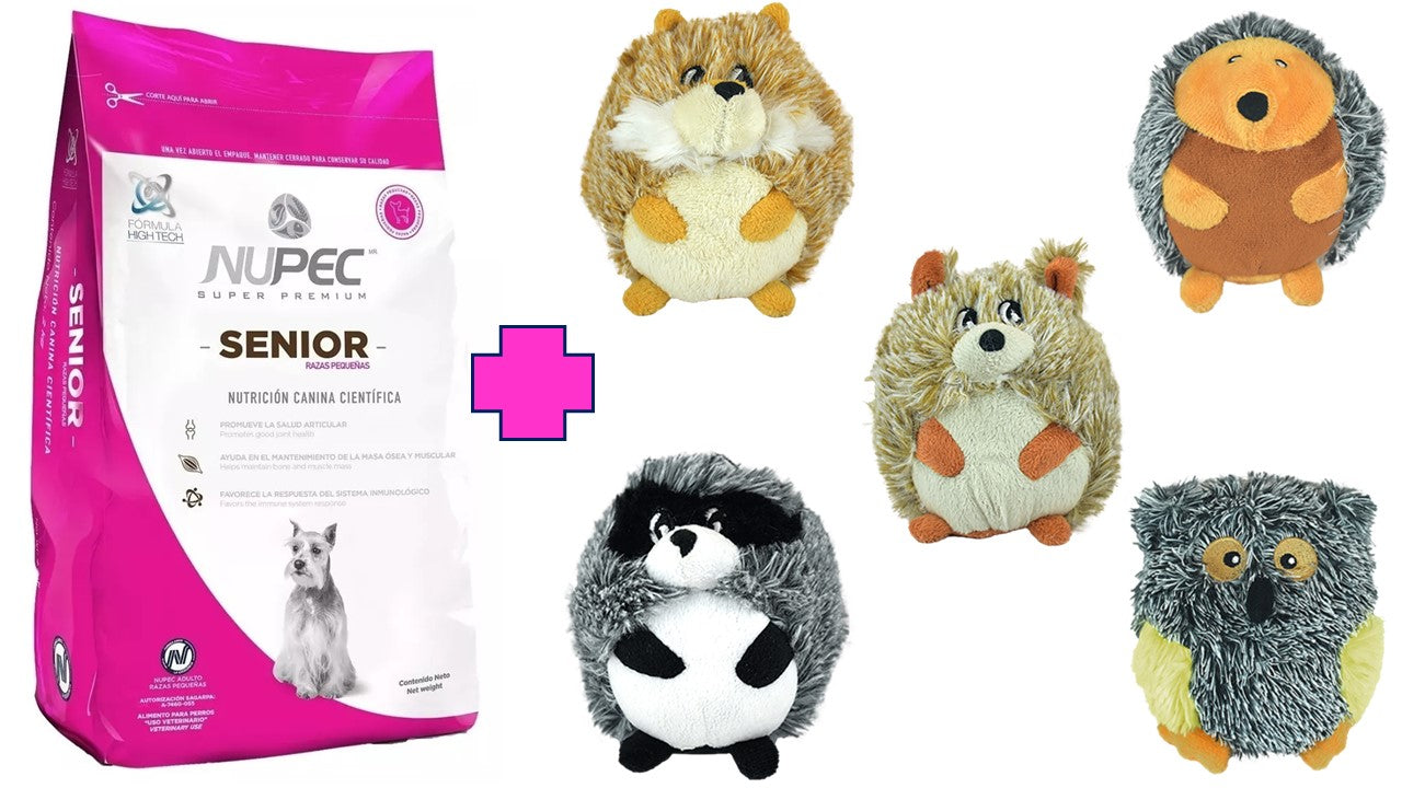 Alimento seco nupec senior razas pequeñas para perro mayor 8 kg