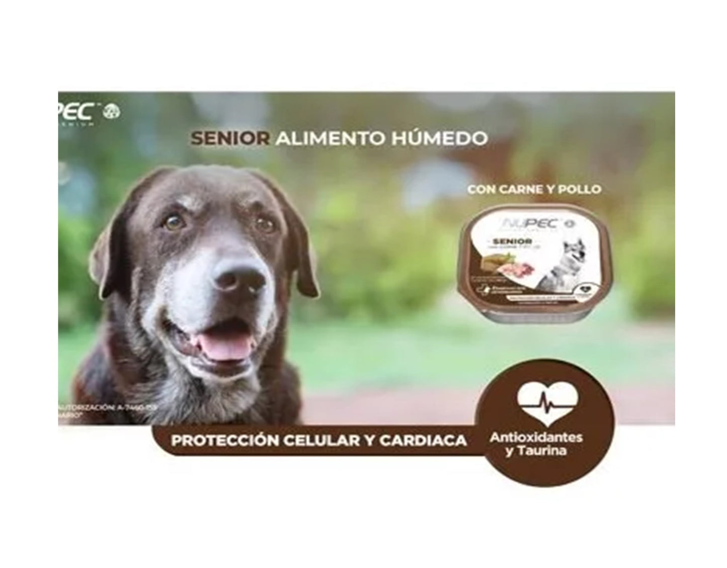 Alimento húmedo paquete de 20 latas nupec para perro senior 100 gr