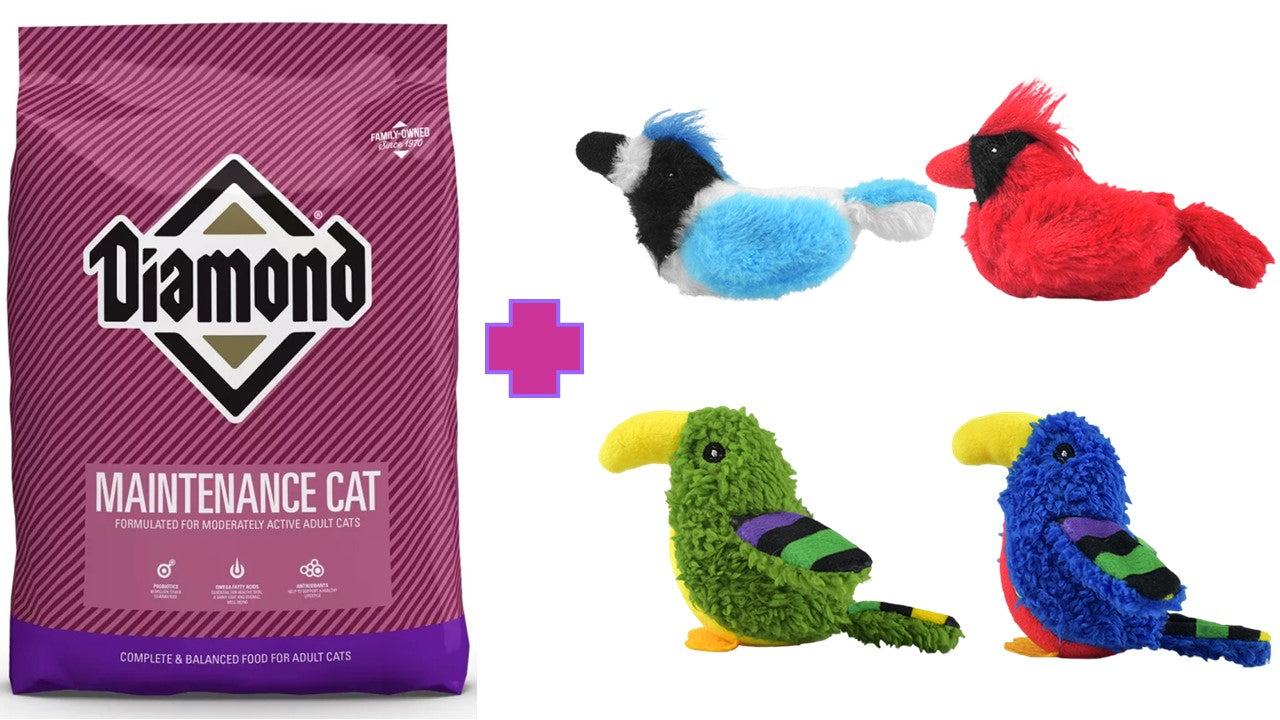 Alimento seco felino Diamond maintenance gato 18.14 kg