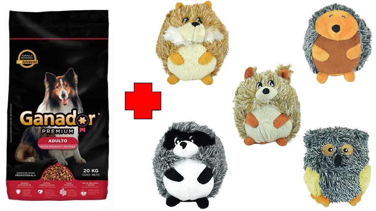 Alimento seco perro Ganador premium adulto razas medianas y grandes 20 kg (Rojo)