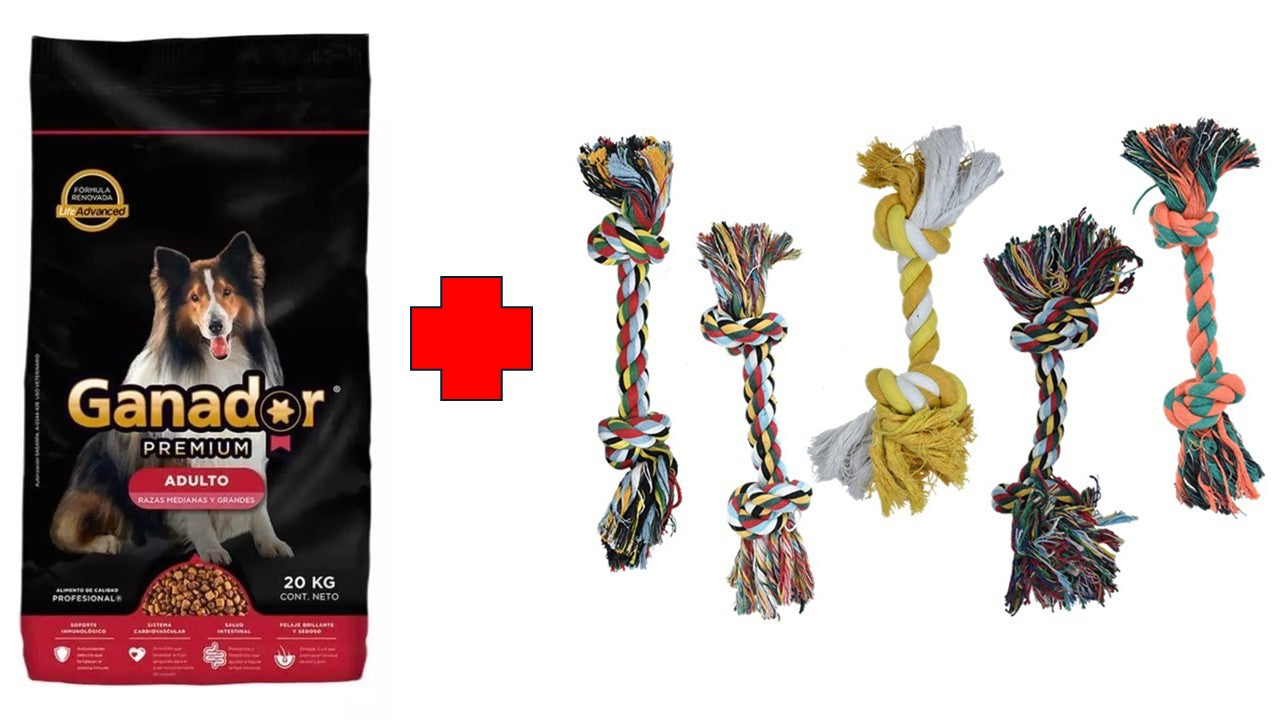 Alimento seco perro Ganador premium adulto razas medianas y grandes 20 kg (Rojo)