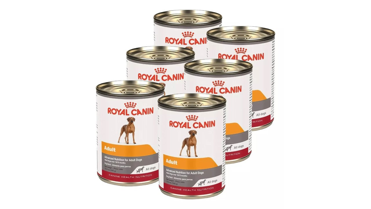 Paquete de 6 latas Royal canin adult all dogs 385 gr