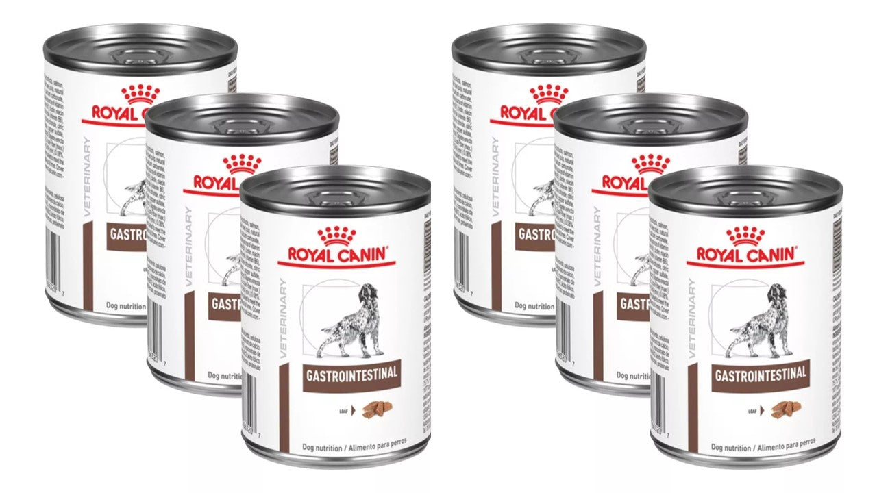 Alimento perro húmedo Paquete de 6 latas Royal canin gastrointestinal high energy 385 gr