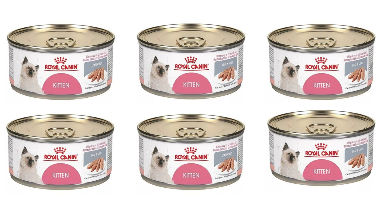 Alimento felino húmedo Paquete 6 latas royal canin kitten 145 gr