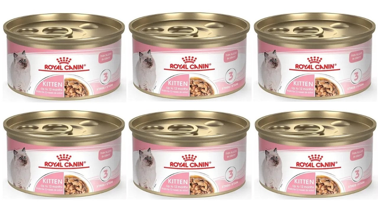 Alimento felino húmedo Paquete 6 latas Royal canin kitten 85 gr
