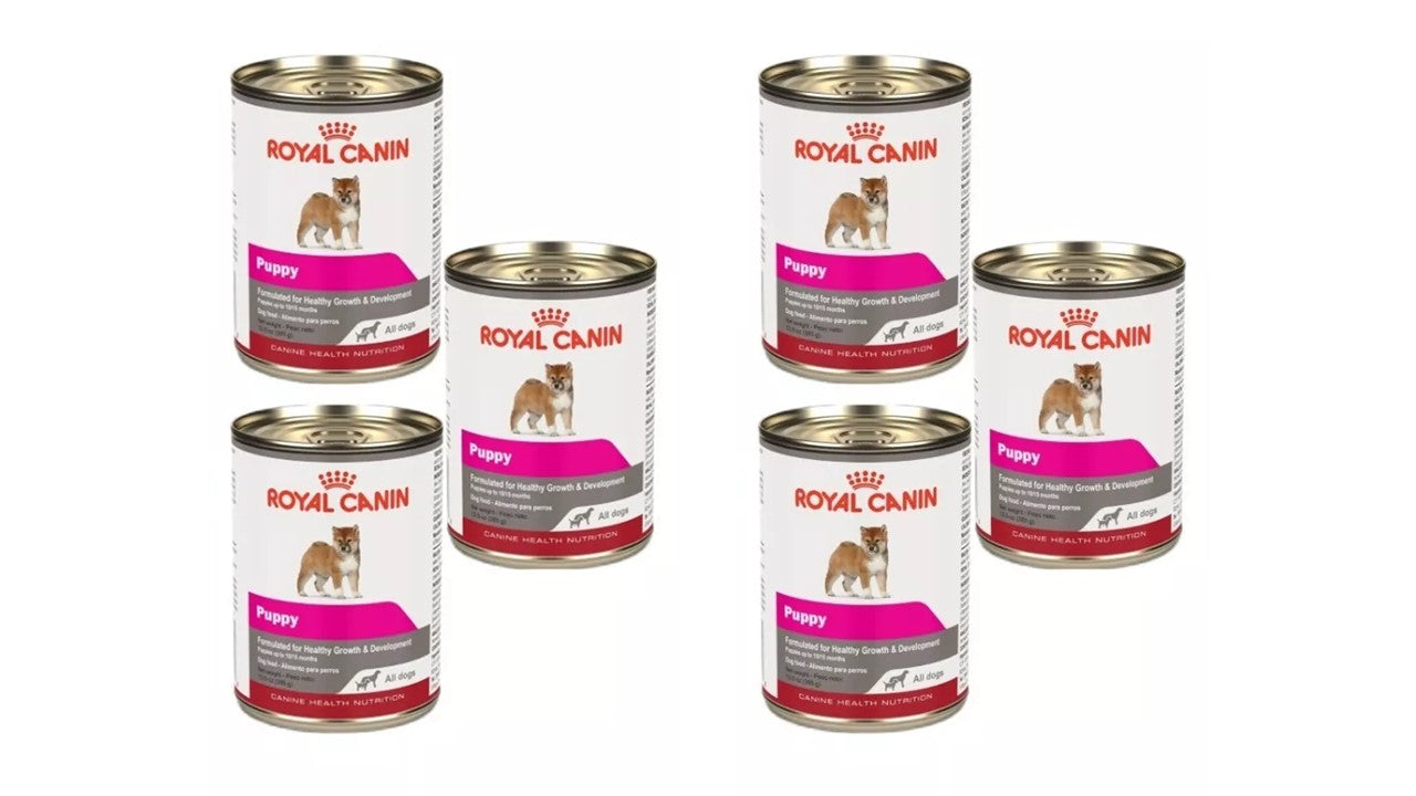 Alimento perro húmedo Paquete de 6 latas Royal canin puppy all dogs 385 gr