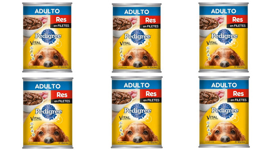 Paquete de 6 latas pedigree res en filetes 625 gr