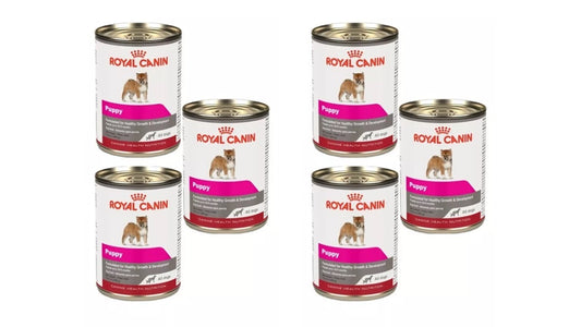 Alimento perro húmedo Paquete de 6 latas Royal canin puppy all dogs 385 gr